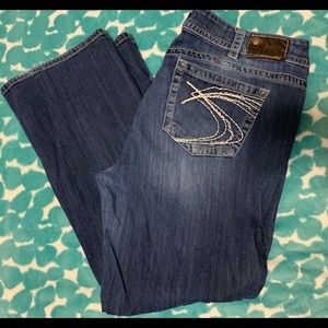Silver Blue Jeans, size 22. Used, from Maurice’s.